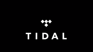 Company Linked to Jay-Z's TIDAL Reportedly Received PPP Loan Before TIDAL Laid Off 15 Furloughed Employees